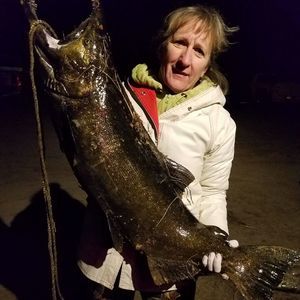 Meet your Posher, Shelly